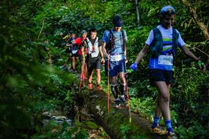 BIB: 9176, 1996
                            <button type="button" onclick="openModal(18922469)" class="btn btn-primary btn-sm float-right btn-popup" data-toggle="modal" data-target=".modal-high-quality">
                        <i class="fas fa-shopping-cart"></i> Add to Cart
                    </button>
                                            <button type="button" onclick="isThisMe(18922469, true)" class="btn btn-success btn-sm float-right btn-popup btn-isme hidden" data-toggle="tooltip" data-placement="bottom" title="นี่คือรูปของคุณใช่ไหม คลิกที่นี่เพื่อเอาเข้าอัลบั้ม">
                        <i class="fas fa-plus"></i> Add to album
                    </button>
                    <button type="button" onclick="isThisMe(18922469, false)" class="btn btn-warning btn-sm float-right btn-popup btn-isnotme hidden">
                        <i class="fas fa-ban"></i> Remove from album
                    </button>